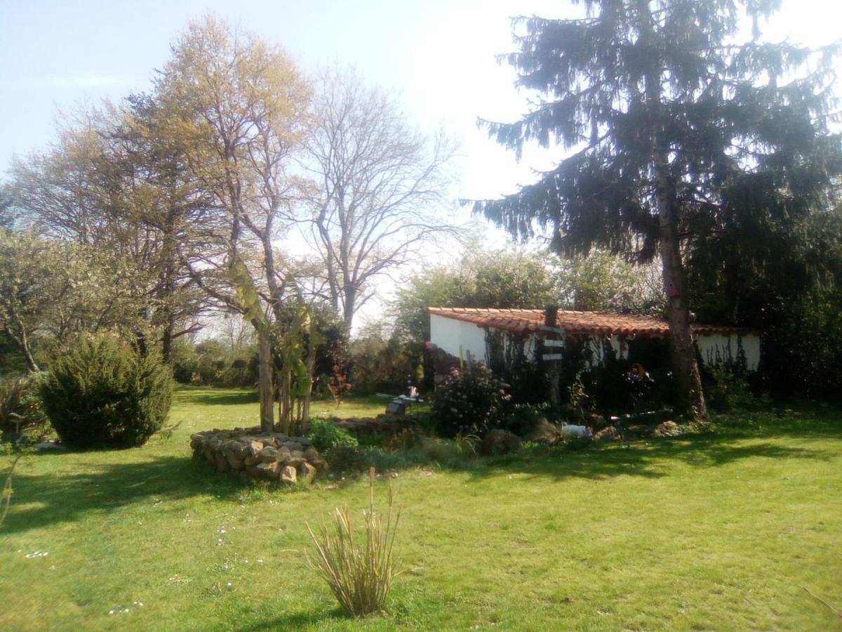 Mas Des Vignes Piscine Chauffee Acomodação com café da manhã Le Champ-Saint-Pere Exterior foto